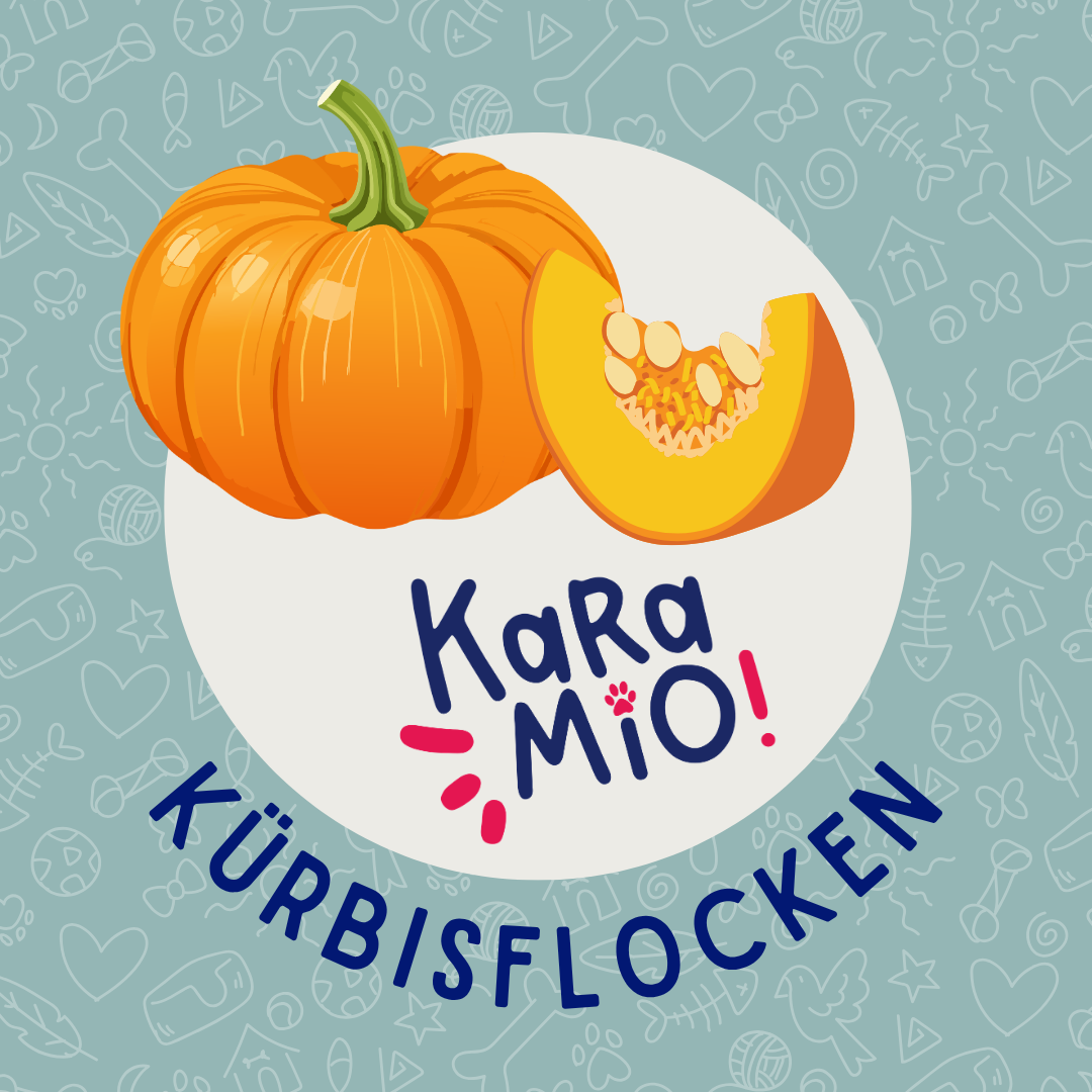 Karamio Kürbisflocken 1kg