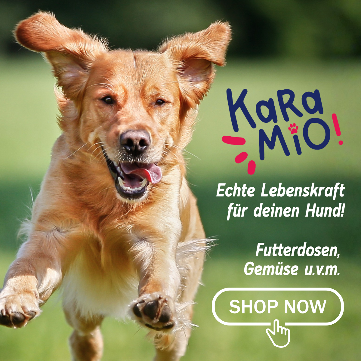 Karamio Logo, Hund mit leerem Napf, Lebenskraft für deinen Hund