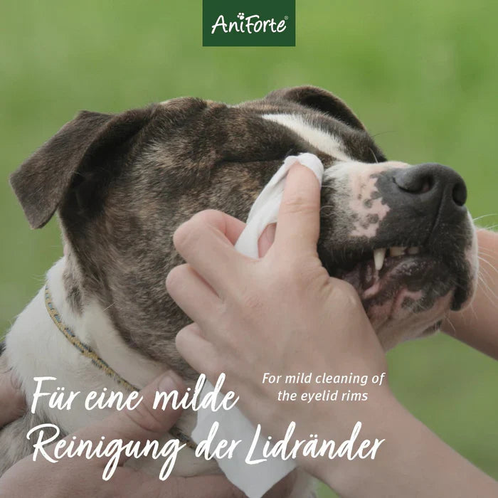 Aniforte sanfte Augenpflege