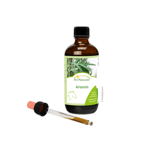 PerNaturam® Artemis - Beifuß & Karde (100 ml)
